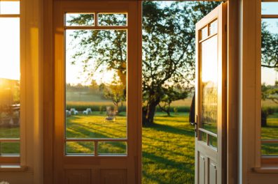 golden-sunrise-view-of-the-garden-from-the-house-2023-11-27-05-19-38-utc-min
